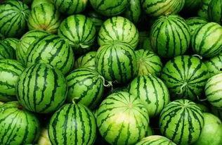 最新免费吃瓜群,畅享热门资讯,轻松成为娱乐圈知情者 第2张 最新免费吃瓜群,畅享热门资讯,轻松成为娱乐圈知情者 第2张